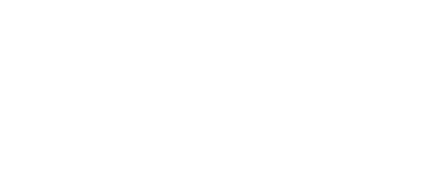 Revue Française des Méthodes Visuelles