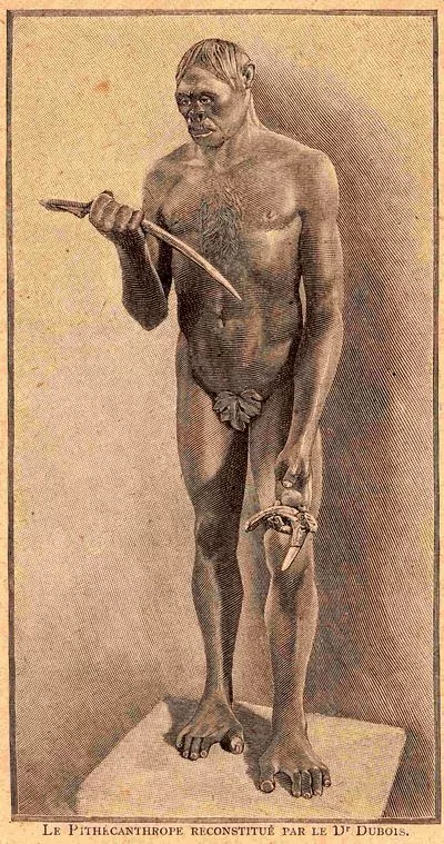 Image 3 - Reconstitution du pithécanthrope (l’homme-singe) présentée à l’Exposition universelle de Paris en 1900.