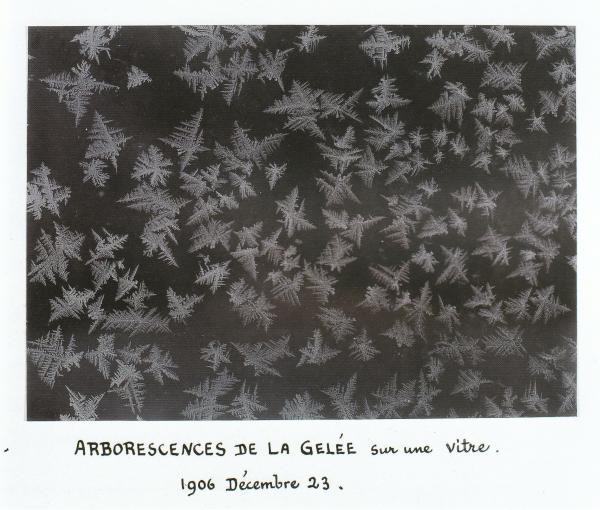 Image 9 - Ferdinand Quenisset (1872-1951), <em>Arborescences de la gelée sur une vitre</em>, 23 décembre 1906.