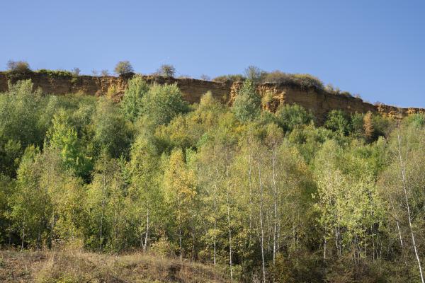Image 4 - Front de taille de l’ancienne mine à ciel ouvert de la Houtte appelée les carrières de Micheville, Villerupt-Thil.